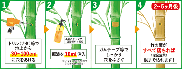 竹を枯らす方法 除草剤